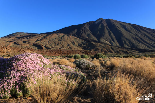 Vacanza a Lanzarote