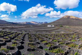 Paesaggio con regione dei vigneti, Lanzarote, Isole Canarie