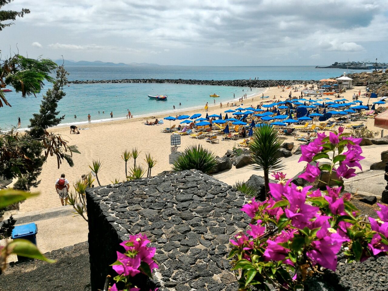 Le bouganville sopra Playa Dorada, con gli ombrelloni e il mare